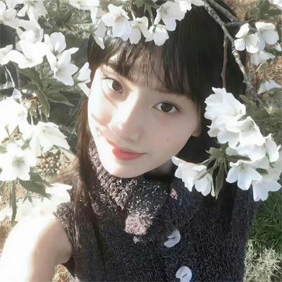 黑帮老大养成指南