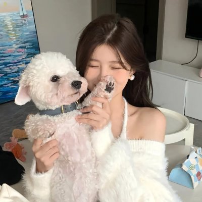 冒牌特工